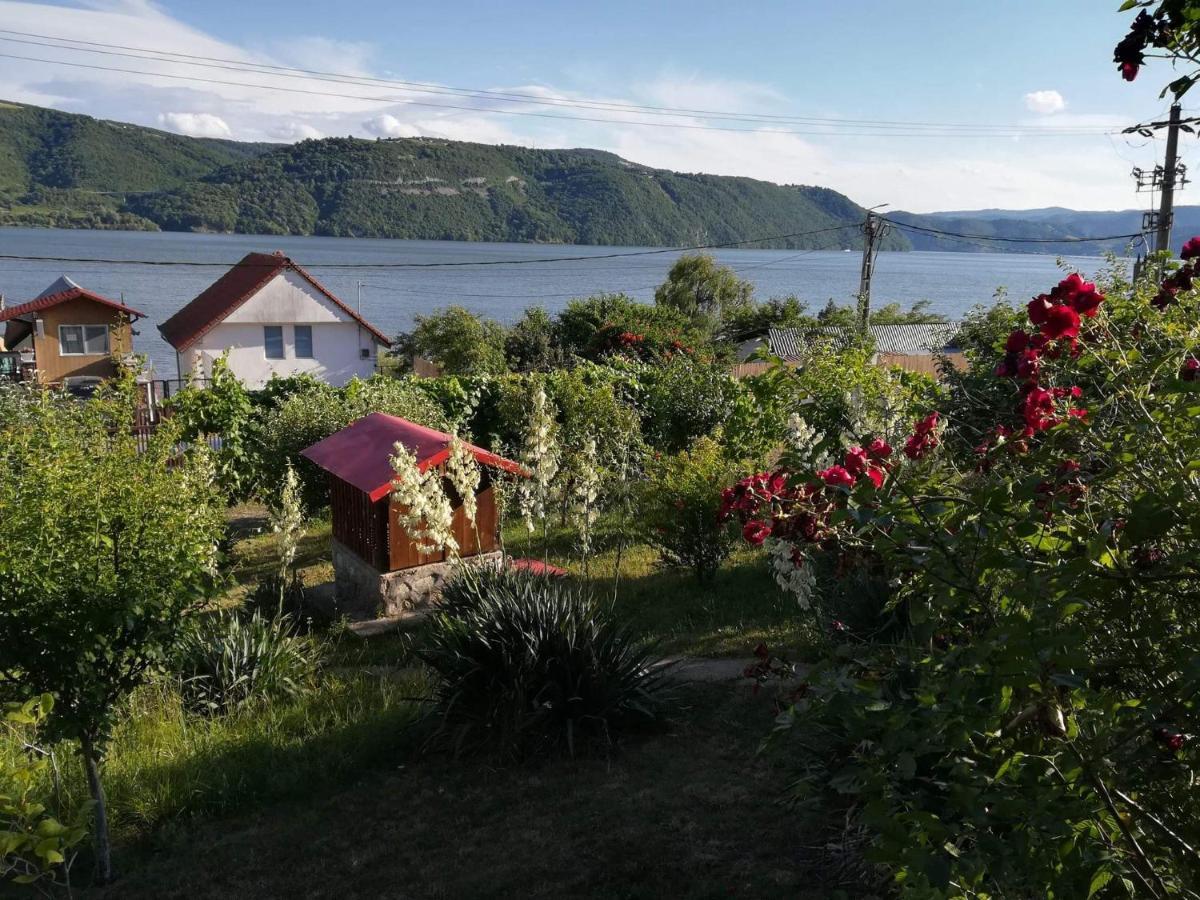 Casa Melania Villa Ieşelniţa Eksteriør bilde