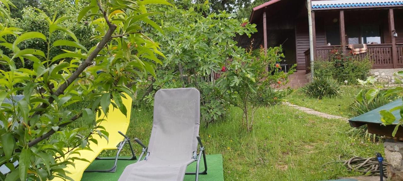 Casa Melania Villa Ieşelniţa Eksteriør bilde